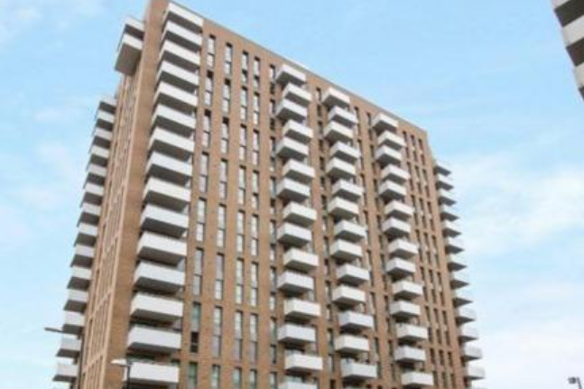 Ivy Point